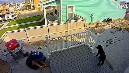 When Animals  ATTACK!      Funny Animal Fails   AFV 2020