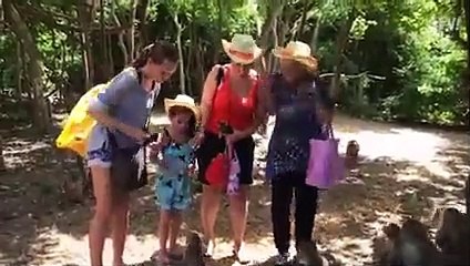 Nothing Like a CAMEL KISS to RUIN Your DAY!    Best Funny Animal and Nature Fails   AFV 2021