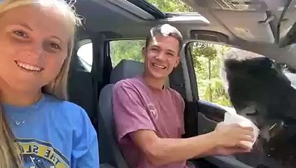 SWIPED the Fail Right Outta Her Fingers!    Best Funny Animal Thieves   AFV 2022
