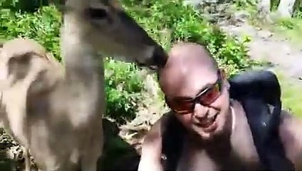 SCARY and FUNNY Animal Encounters! Funny Animal Moments   AFV 2022