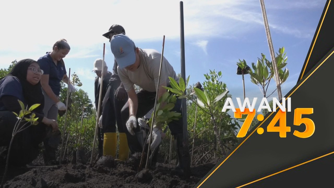 Inisiatif pucuk hijau UMW sasar tanam 2,000 anak pokok bakau