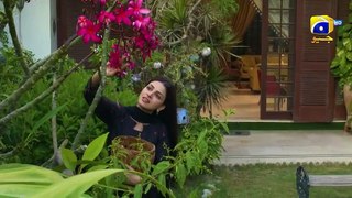 Sirf Tum 2nd Last Mega Episode 47 (Part 02) - [Eng Sub] - Anmol Baloch - Hamza Sohail - Mohsin Abbas