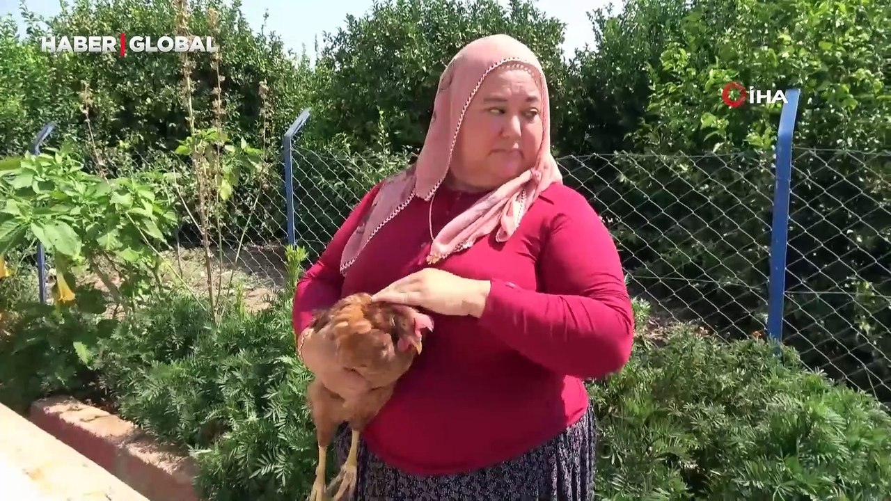 Tavuk besleyen kadının şaşırtan iddiası sosyal medyayı salladı! 'Adım ve soyadımın baş harfleri yumurtalarda yazılı'