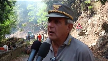 Rtp Telegiornale 28 agosto 2023