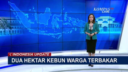 2 Hektar Kebun Warga Bacukiki Terbakar, Api Hampir Menjalar ke Permukiman!