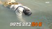 [HOT]Hyeong-don X Jesung X Sungkwang, who fish underwater without knowing anything, 안싸우면 다행이야 230828