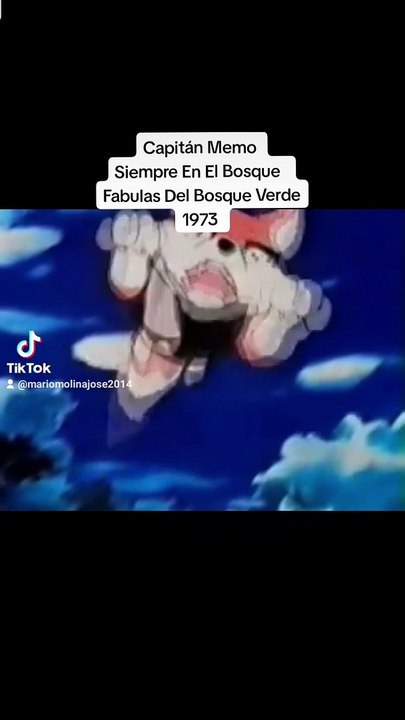 Capitán Memo- Siempre En El Bosque- Las Fabulas Del Bosque Verde- Año 1973