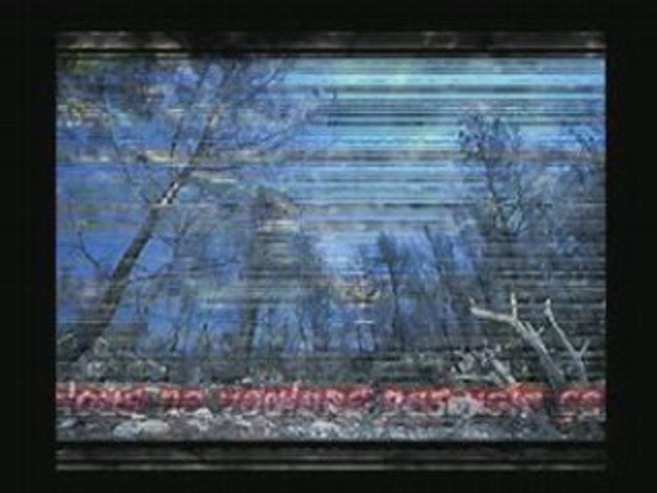 Le best du Collectif