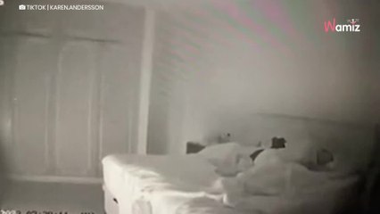 Il dort profondément en ignorant le danger mortel qui se propage : le chien a une réaction qui force l'admiration (vidéo)