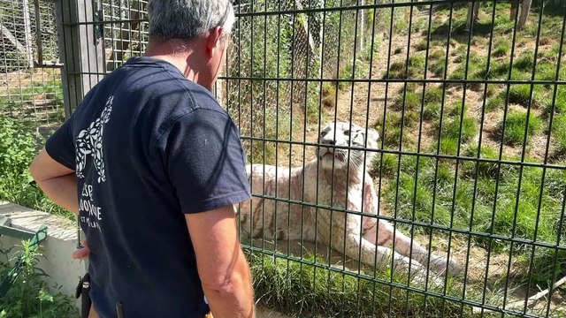15 ans de sauvetages pour l'association Tonga Terre d'Accueil