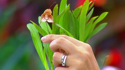 bd-publireportaje-evergreen-280823