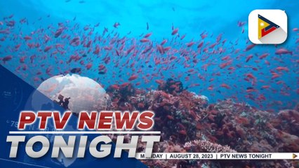 PTCAO to hold travel as part of conservation efforts for Verde Island Passage