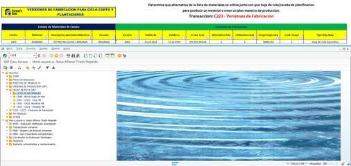 Versiones de Fabricacion - Ciclo Corto y Plantaciones