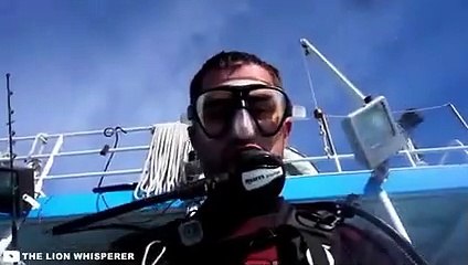30 Scariest Shark Encounters Ever Caught On Camera