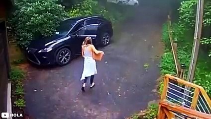 30 Scariest Bear Encounters Ever Caught on Camera