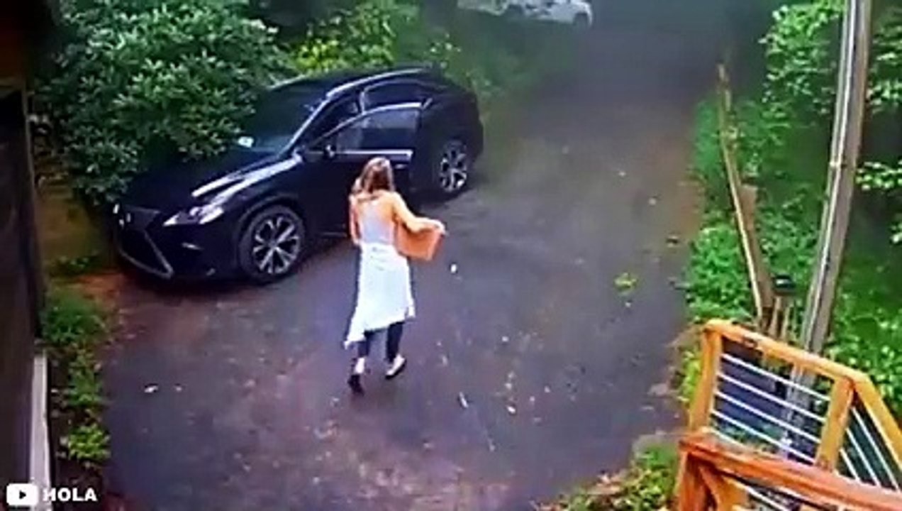 30 Scariest Bear Encounters Ever Caught on Camera