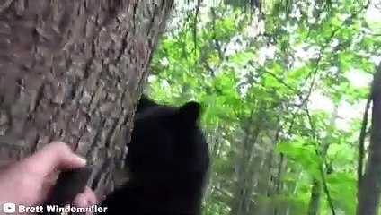 30 Times Humans Messed With The Wrong Animals