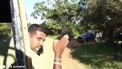 30 Scariest Animal Encounters of The Year