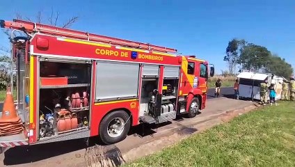 Duas éguas de competição ficam feridas após colisão na PR-323, em Perobal