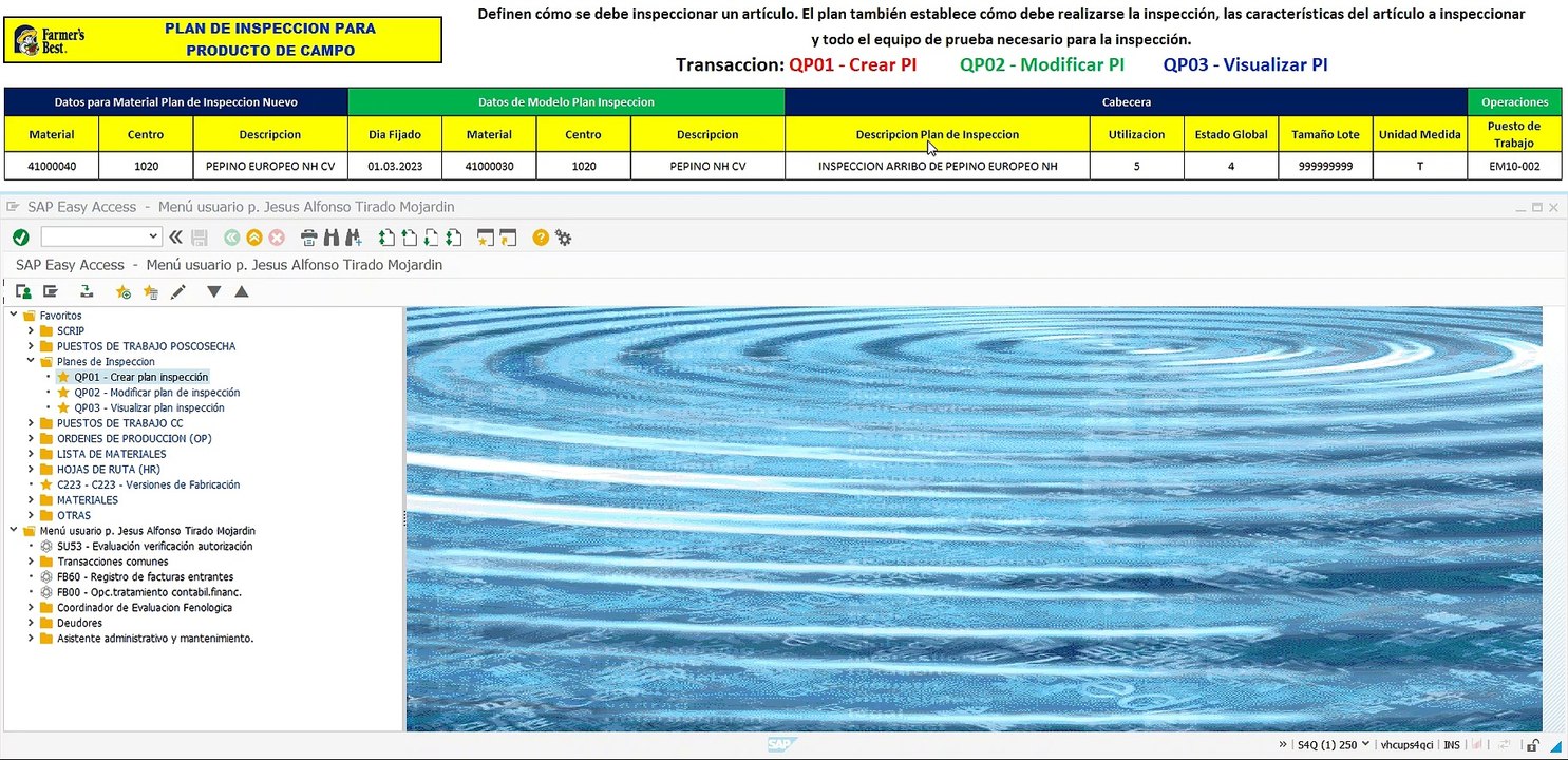 Planes de Inspeccion