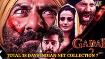 Gadar 2 vs Pathan, Gadar 2 Box Office Collection, Gadar 2 Box Office Collection Day 18, #gadar2