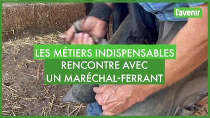 Les métiers indispensables à l'agriculture: rencontre avec maréchal-ferrant