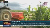 Venezuela on the move: Venezuelan farmers strengthen production despite U.S. sanctions