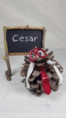 Le nom César - Professeur Pin