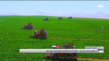 ٤ ملايين فدان منزرعة.. بساط الزراعة الأخضر ينتشر في ربوع مصر