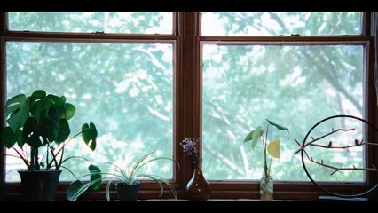 Maqluba: Award-Winning Short Film 🎬