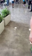 TTB duyurdu: Defne Devlet Hastanesi bir kez daha sular altında