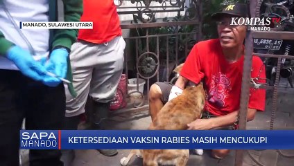 Download Video: GHPR Tinggi, Dinkes Pastikan Ketersediaan Vaksin Rabies Mencukupi