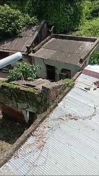 Earlier neighbor used to disturb by throwing water, on giving explanation