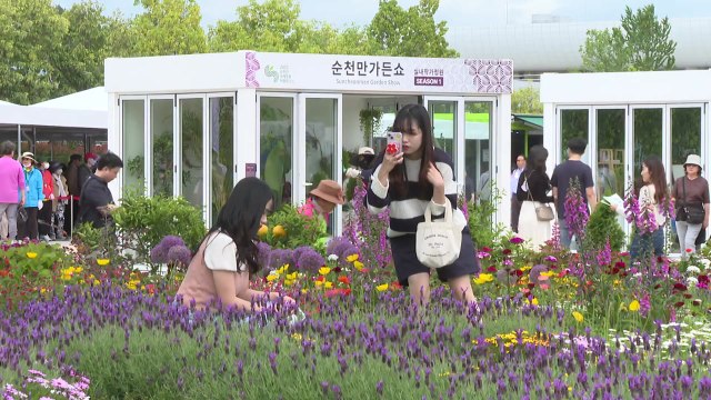 순천만 국제정원박람회 관람객 600만 돌파... 가을엔 국화로 장식 / YTN