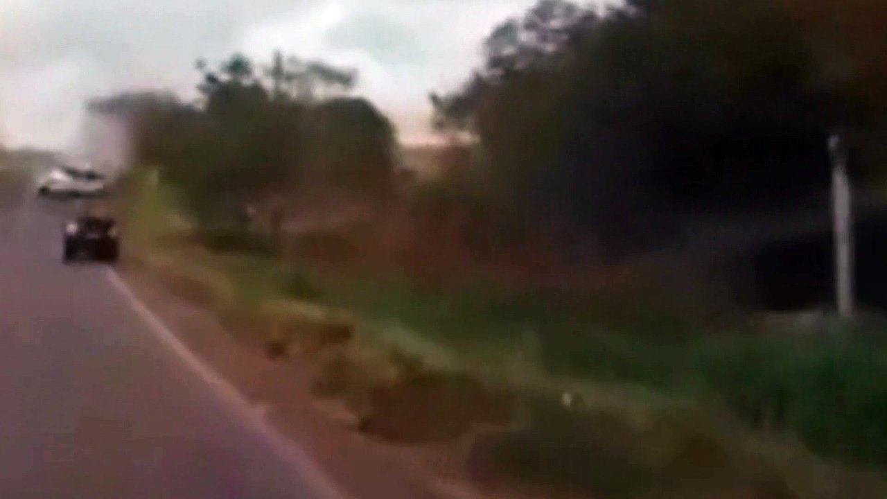 Motorista se assusta com abelha e capota carro diversas vezes; vídeo