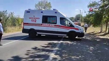 Başıboş köpek kazaya neden oldu: 1 yaralı