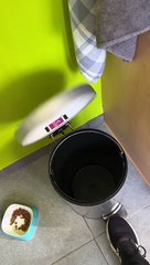 Remède naturel contre la rage de dents