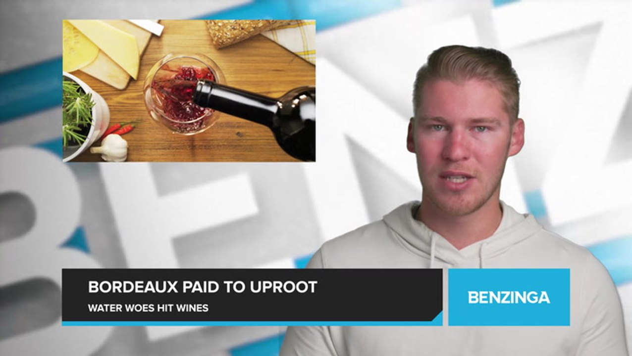 Bordeaux Winemakers Paid to Uproot Vines Amid Climate Change