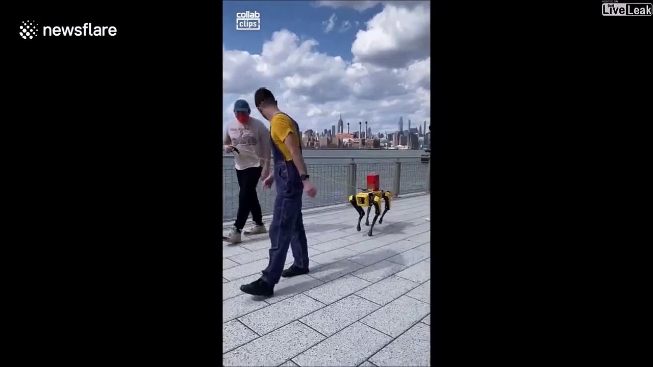 Il promène son chien... robot
