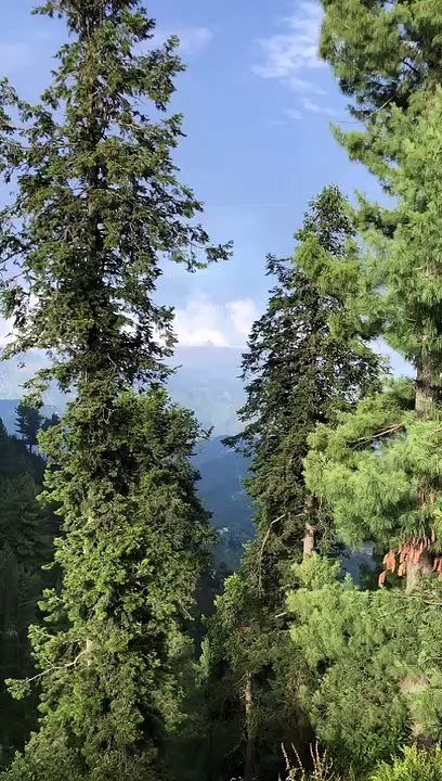 Beautiful view of malamjaba