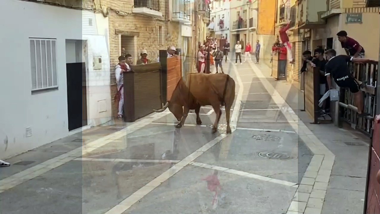 Un toro se escapa del recorrido en Ablitas (Navarra)