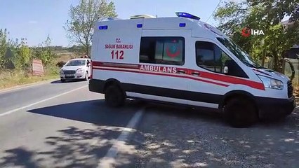 Des véhicules par derrière ont heurté le camion, qui s'est arrêté pour éviter de heurter le chien, à Malkara, 1 personne a été blessée