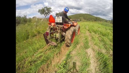 Articulated Tractor Agria | Land preparation for Paulownias