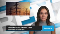 Hawaiian Electric Denies Fault on Maui Fires