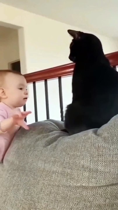 Cat and kids -------- _catadaily #catlover #catsdaily #catlove #catloversclub #catlovers #catlife #catslover #usacats #usacat #usa  #usa #usacatlovers #usacats