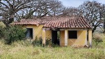 ÁRVORE SECA E CACTOS, UM LUGAR ESTRANHO PRA UMA CASA ABANDONADA