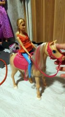 Barbie & Her Sisters Dancin' Fun Horse and Doll