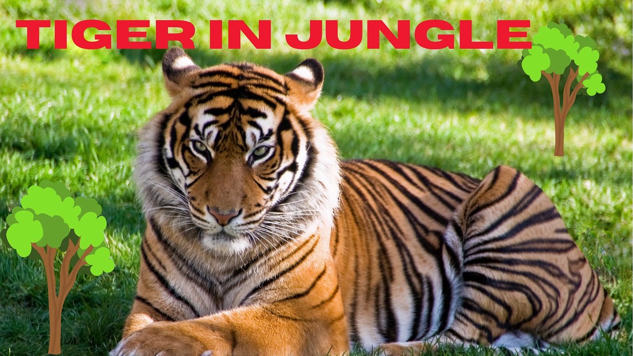 Harimau