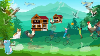 Video animasi - padang rumput - hewan hewan