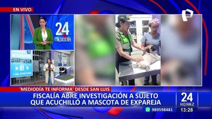 La Victoria: fiscalía abre investigación preliminar a sujeto que acuchilló a perrita